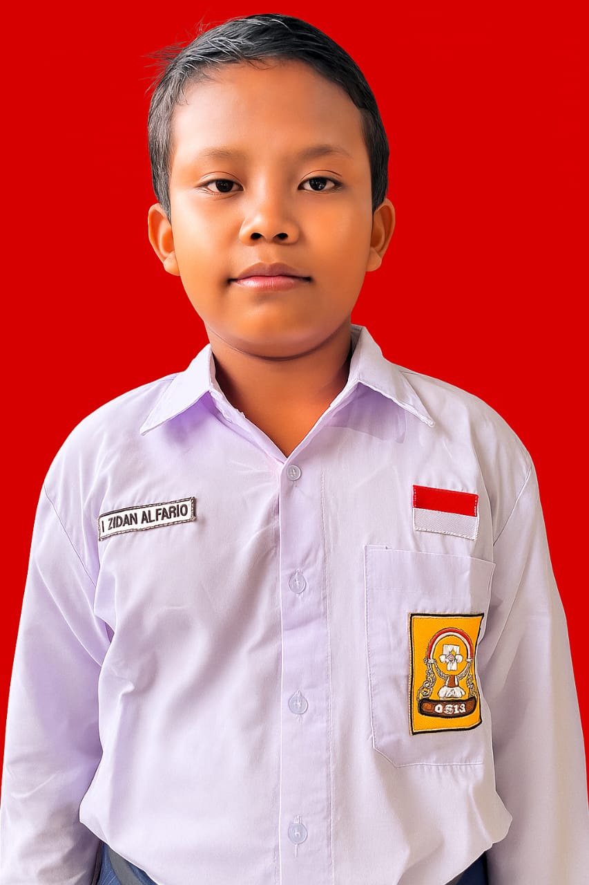 Muhammad Zidan Alfariq
